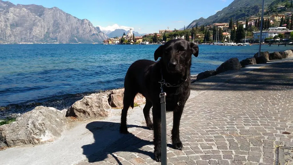 Casa Bianca Hotel Malcesine